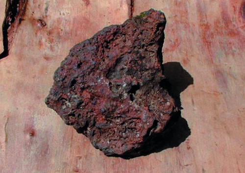 Pozabljeno bohinjsko zlato